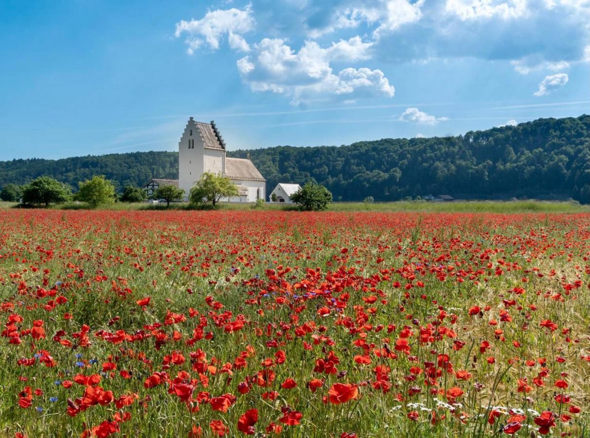 Roemercastell Wirtshaus & Hotel Bohming Экстерьер фото